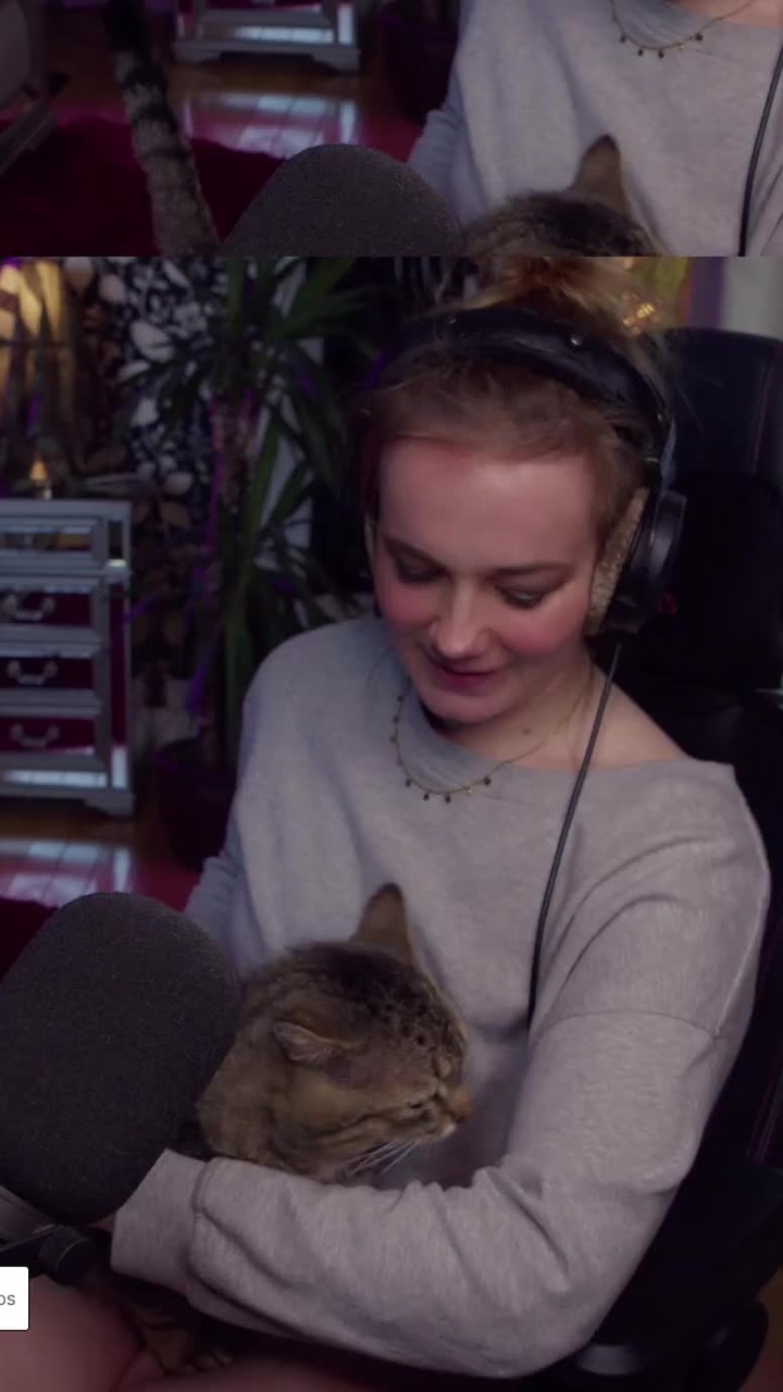 Jumbo curled up in Nou’s arms during a Twitch stream.